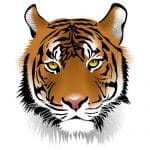 Tiger facts for kids